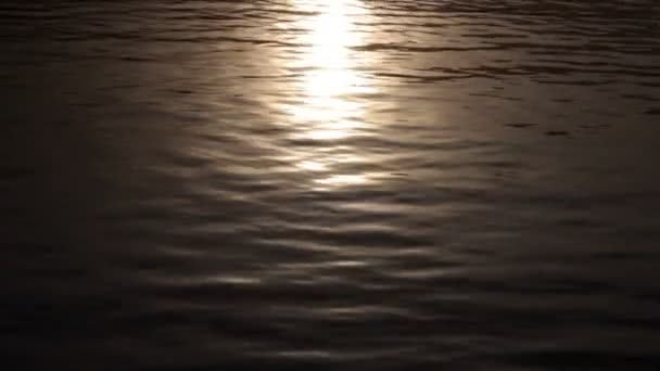 Поверхность воды с отражением солнечного света — стоковое видео