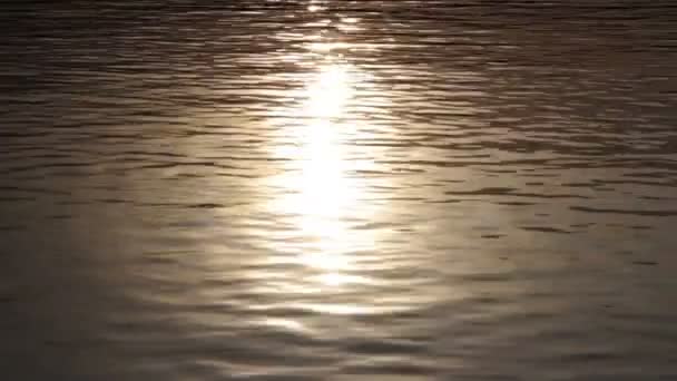 Surface de l'eau avec réflexions de lumière du soleil — Video