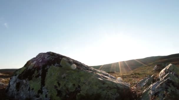 Roccia nella tundra paesaggio — Video Stock