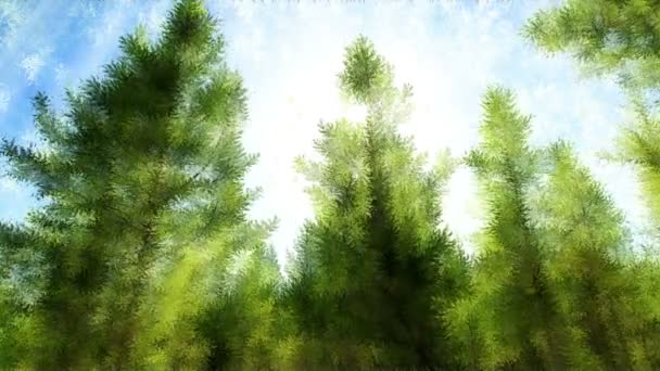 Abstract Pine Forest — Stockvideo