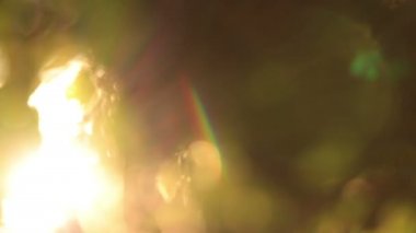 Ufuk yeşillik ve güneş ışığı