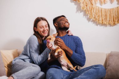 Mutlu çift akşamları kanepede chihuahua köpeğiyle oynuyor.