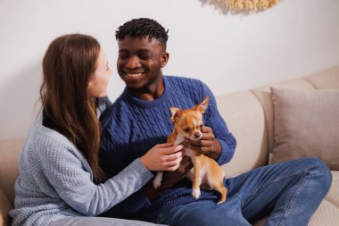 Neşeli çoklu etnik çift evde chihuahua köpeğiyle konuşuyor ve zaman geçiriyor.