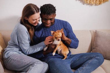 Gülümseyen ırklar arası çiftler evdeki kanepede chihuahua köpeği oynuyorlar.