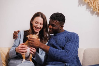 Gülümseyen çeşitli çiftler evde chihuahua köpeği okşuyor.