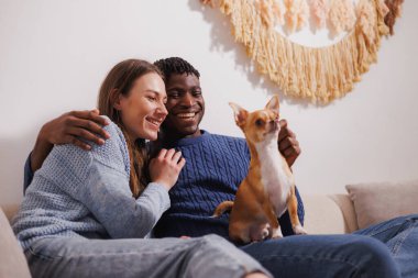 Gülümseyen, etnik çeşitlilikte bir çift evdeki koltukta chihuahua köpeği okşuyor.
