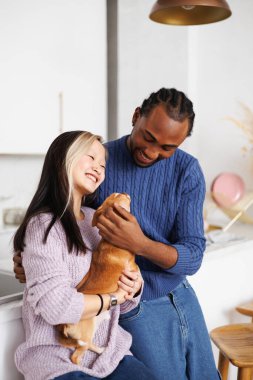 Modern mutfakta süveter giyen, Chihuahua köpeği tutan pozitif ırklar arası bir çift.