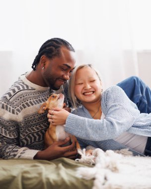 Evde Chihuahua köpeğiyle vakit geçiren neşeli, çok ırklı genç bir çiftin portresi.