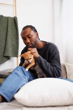 Genç, şık, afro-amerikan adam, yatak odasında chihuahua köpeğiyle rahatlıyor.