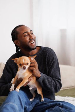 Gülen Afrikalı genç Amerikalı adamın portresi. Odasında chihuahua köpeği besliyor.
