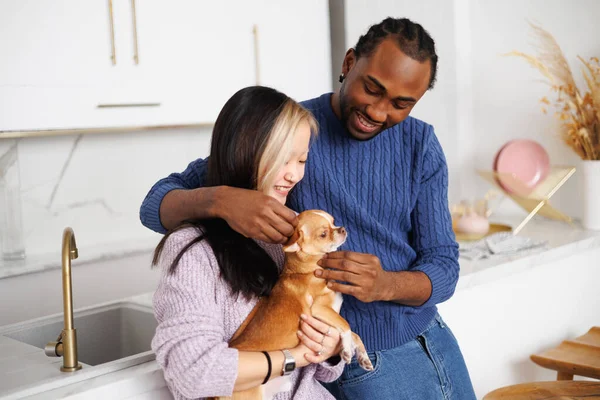 Gülümseyen Afro-Amerikalı süveter giyen ve evinde Asyalı kız arkadaşının yanında chihuahua köpeği besleyen genç bir adam.