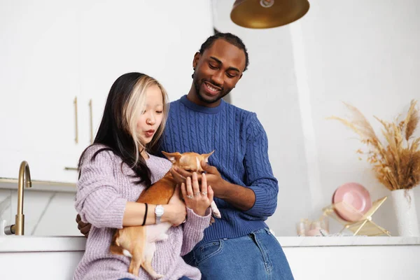 Modern mutfakta süveter giyen, Chihuahua köpeği tutan ırklar arası genç bir çift.
