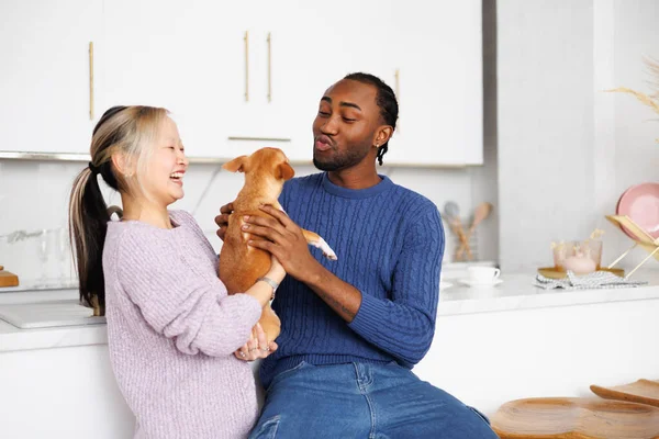 Genç çift modern mutfakta köpekle eğleniyor.