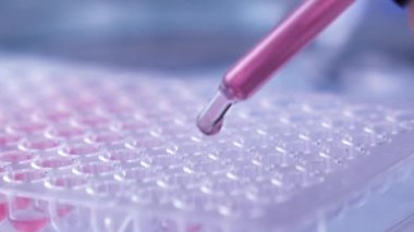 Laboratuvarda analiz ya da araştırma yapan bilim adamları.