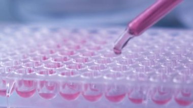 Laboratuvarda analiz ya da araştırma yapan bilim adamları.