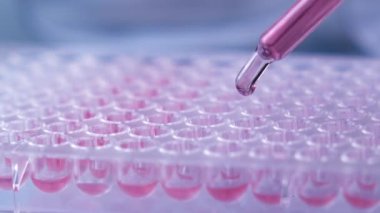 Laboratuvarda analiz ya da araştırma yapan bilim adamları.