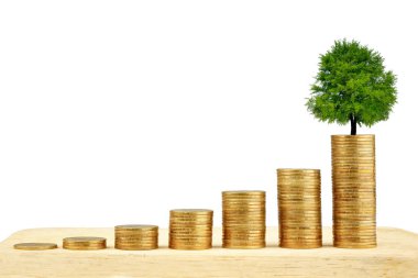 Bozuk para üzerinde büyüyen bir ağaç beyaz arka planda yükselen bir basamak iş konsepti.