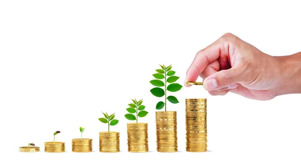 Para biriktirirken, madeni para biriktirirken, paranın üzerinde büyüyen küçük bir ağaçla, madeni para birikimi artar. Beyaz arkaplanda iş büyümesi ve başarı..