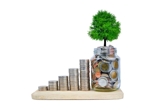Para basma basamağında büyüyen küçük bir ağaç. Beyaz arkaplanda iş büyümesi ve başarı.