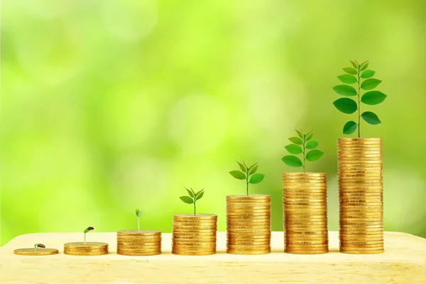 Bozuk para basamağında büyüyen küçük bir ağaç. Doğal bokeh arkaplana sahip iş.