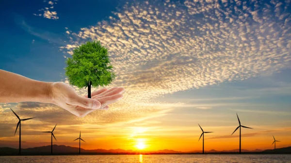 Mano Sosteniendo Árbol Turbina Con Fondo Atardecer Salvar Concepto Tierra —  Fotos de Stock