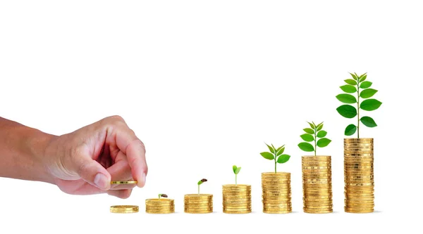 Para biriktirirken, madeni para biriktirirken, paranın üzerinde büyüyen küçük bir ağaçla, madeni para birikimi artar. Beyaz arkaplanda iş büyümesi ve başarı..