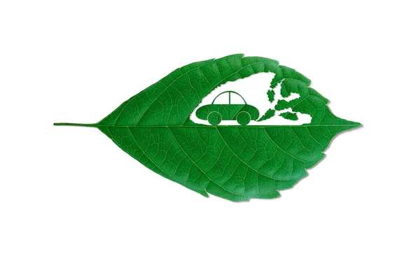 Αυτοκίνητο Κόβει Φύλλα Καπνός Τοξικού Αερίου Διοξειδίου Του Άνθρακα Καταστρέφει — Φωτογραφία Αρχείου