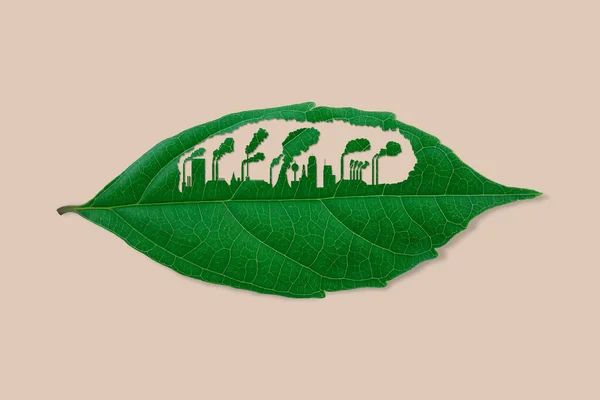 Sanayi fabrikası yaprak kesiyor. Zehirli duman çevreyi yok eder. Dünyayı yeşil doğal ekolojiden kurtar. kırpma yolu.