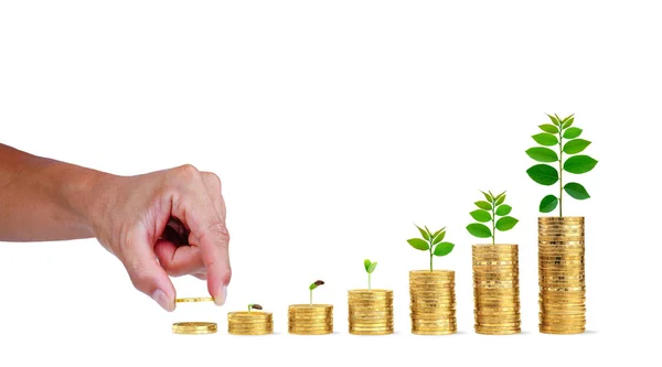 Para biriktirirken, madeni para biriktirirken, paranın üzerinde büyüyen küçük bir ağaçla, madeni para birikimi artar. Beyaz arkaplanda iş büyümesi ve başarı..