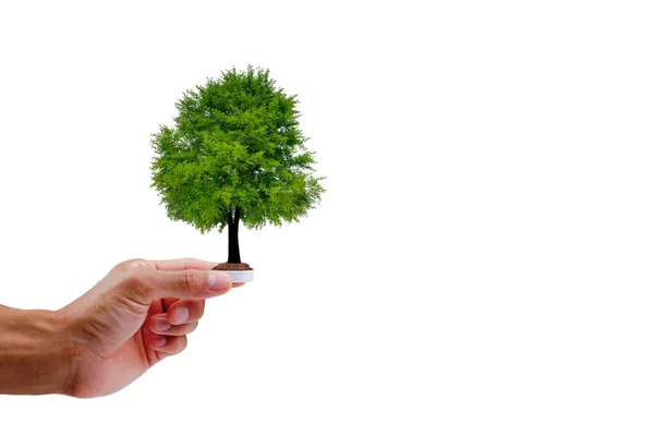 Beyaz arka planda ağaç olan plastik bir şişe tutuyordu. Dünya ekolojisi kavramını koru.