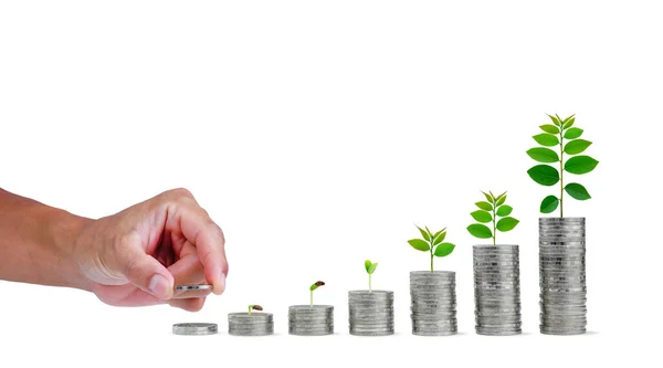 Para biriktirirken, madeni para biriktirirken, paranın üzerinde büyüyen küçük bir ağaçla, madeni para birikimi artar. Beyaz arkaplanda iş büyümesi ve başarı..