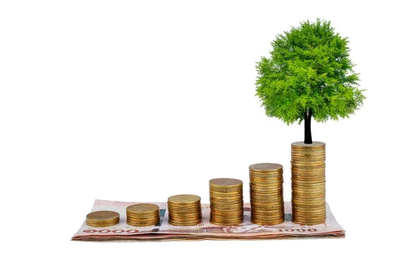 Bozuk para basamağında yetişen bir ağaç, 1000 baht parayla artar. Beyaz arkaplanda iş büyümesi.