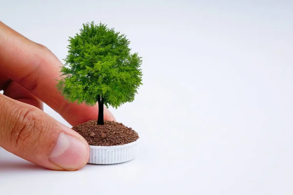 Beyaz arka planda ağaç olan plastik bir şişe tutuyordu. Dünya ekolojisi kavramını koru.