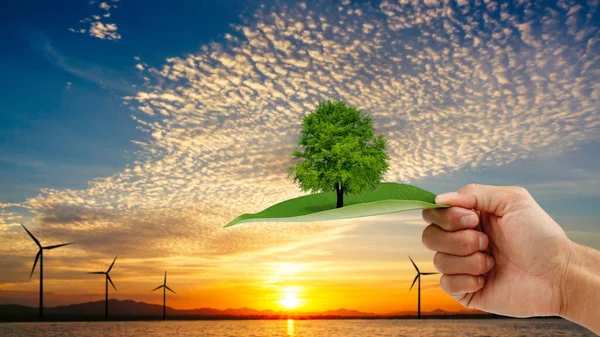 手托着树叶上的树 有落日背景的涡轮机 拯救地球的概念 — 图库照片