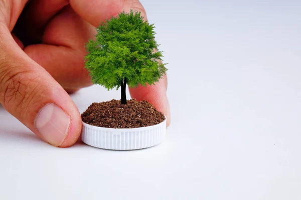 Beyaz arka planda ağaç olan plastik bir şişe tutuyordu. Dünya ekolojisi kavramını koru.