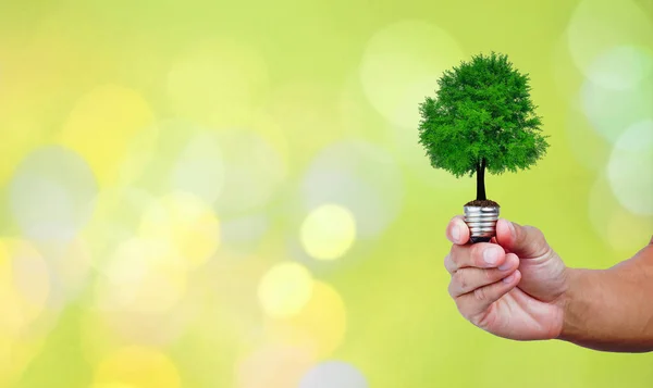 Yeşil doğal bokeh arka planında ampulde parlayan bir ağaç. Çevre için yeşil enerji ve Dünya ekoloji kavramını koru.