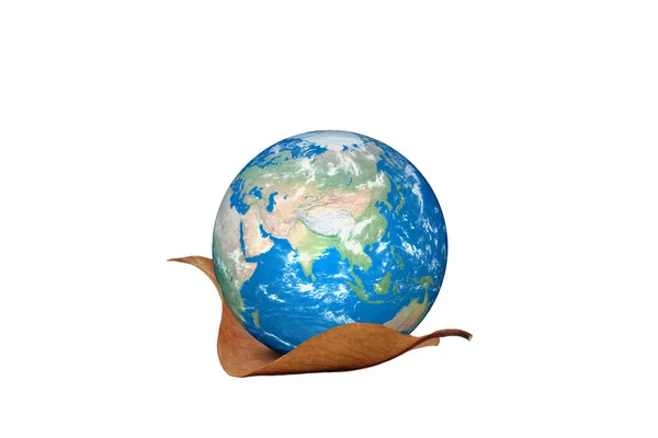 Toprak kuru yaprak üzerinde. Toprak kavramını kurtar. Kırpma yolu ile beyaz arkaplanda izole.