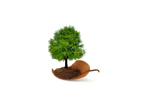 Strom Suchém Listí Zachránit Pozemský Koncept Izolováno Bílém Pozadí Oříznutou — Stock fotografie
