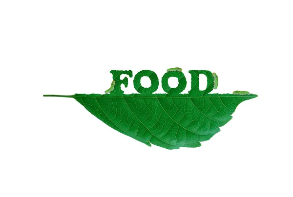 Hoja Alimento Con Gusano Come Hojas Energía Limpia Natural Verde —  Fotos de Stock