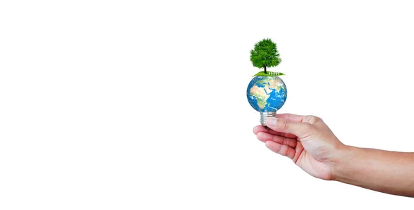 Люди Стоят Деревом Землей Лампочке Белом Фоне Зеленая Энергия Окружающей Лицензионные Стоковые Изображения