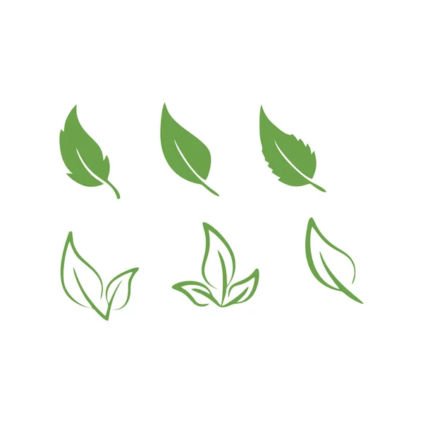 Green Leaves Icon Vector Symbol Web Flat Design — Stock Vector