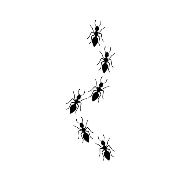Línea Negro Hormigas Icono Vector Símbolo Para Diseño Plano Web — Vector de stock