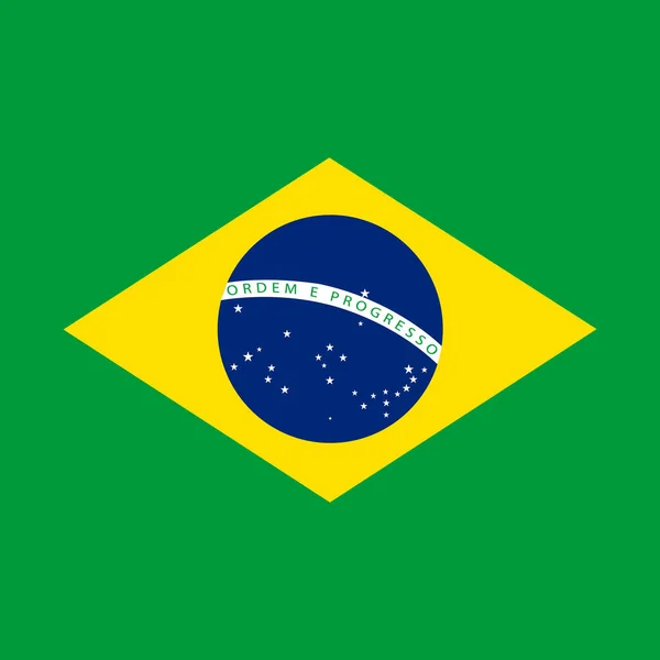 ブラジルのシンボルの旗 — ストックベクタ