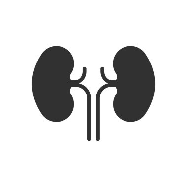 İnsan böbreği simgesi vektörü.