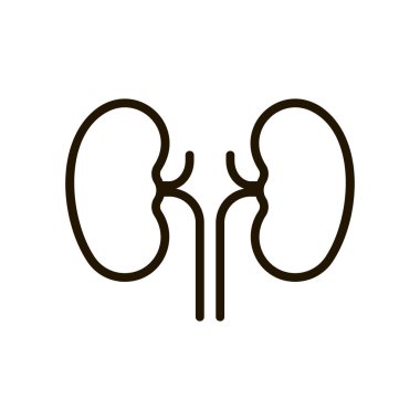 İnsan böbrekleri çizgisi ikon vektörü