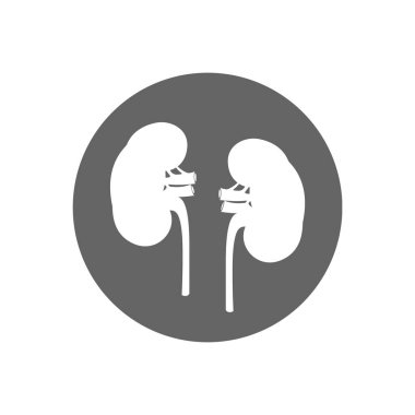 Beyaz arka planda izole edilmiş böbrekler.