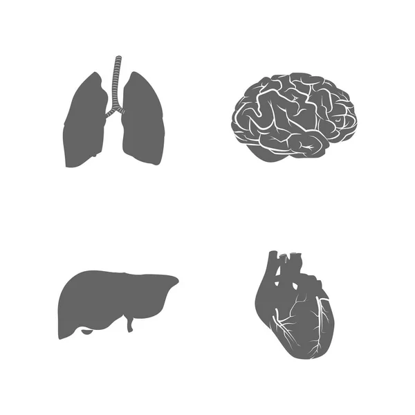 Set Organs Related Vector Icons Your Design — Stock Vector