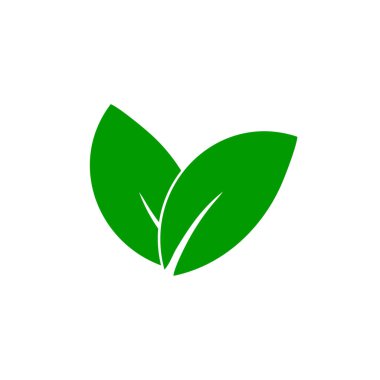 Beyaz arkaplanda yaprak vektör simgesi izole edildi