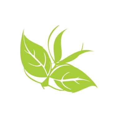 Beyaz arkaplanda soyut yaprak dalları