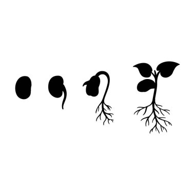 Siluet filizlerinin çizimi